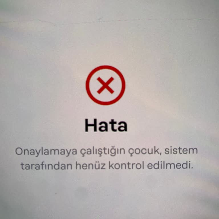 Papara Onaylamaya Çalıştığın Çocuk, Sistem Tarafından Henüz Kontrol Edilmedi