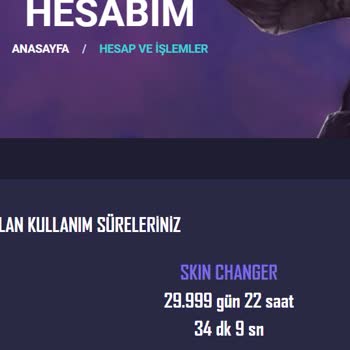 Cs2 EzGlobal Skin Changer