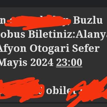 Buzlu Turizm Saçma Sapan Ekstra Para İçin Yapmayacağınız Şey Kalmamış