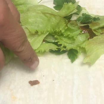 Komagene Geri Dönüş Rica Ediyorum