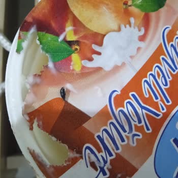 BİM Dost Meyveli Yoğurdu Fare Yemiş