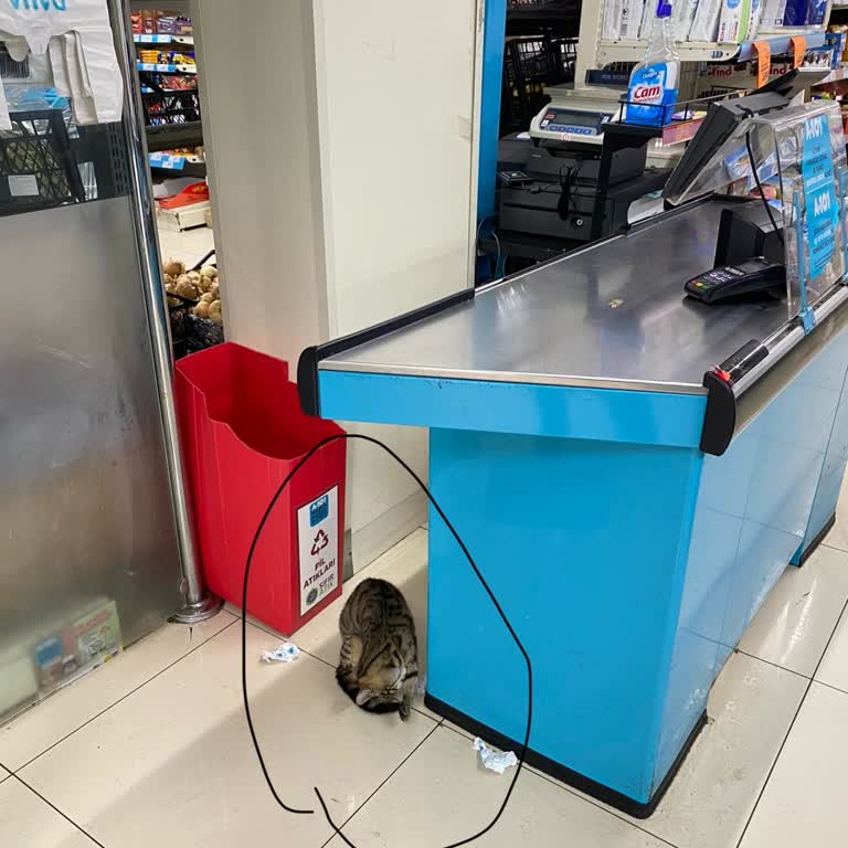 A101 Acil Denetim İstiyoruz