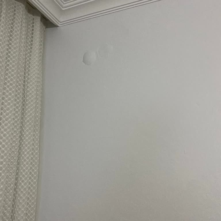 Polisan Boya Renk Uyuşmazlığı Şikayeti