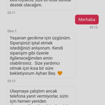 Yemeksepeti Kapalı Olan Restorant Hazırlanıyor Diyor.