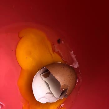 Peynirci Baba Bozuk Ve Böcekli Yumurta