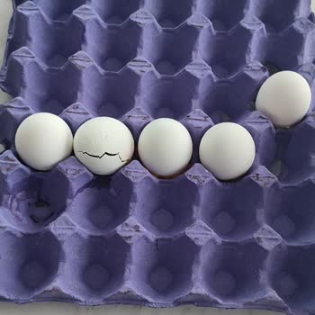 Şok Marketler Şok Marketten Aldığımız Yumurta Kırık Çürük Ve Kokuyordu.