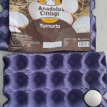 Şok Marketler Şok Marketten Aldığımız Yumurta Kırık Çürük Ve Kokuyordu.