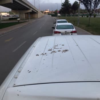 Nissa Car Rental Müşteri Memnuniyetsizliği Ve Ciddiyetsizlik Bir İş Ciddiyet Gerektirir