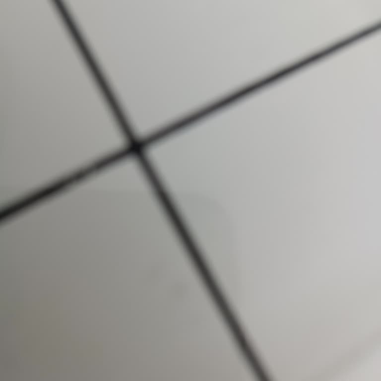 Renault Ad Blue Arıza Hatası