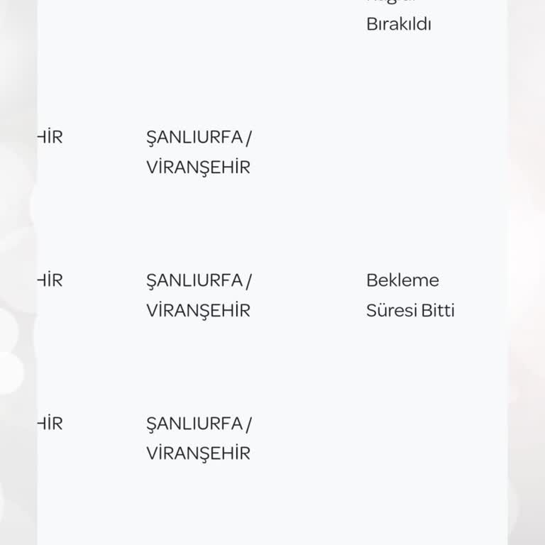 Gratis PTT Siparişimi Teslim Etmeden Gidiyor