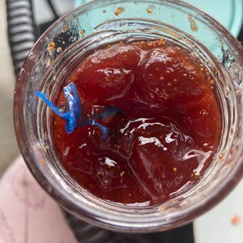 Tukaş Çilek Reçeli İçerisinden Çıkan Plastik