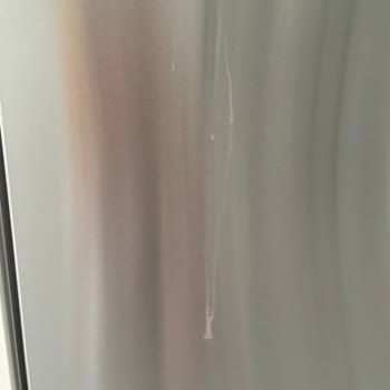 Altus Bulaşık Makinesi İnox Kapağının Renginde Solma