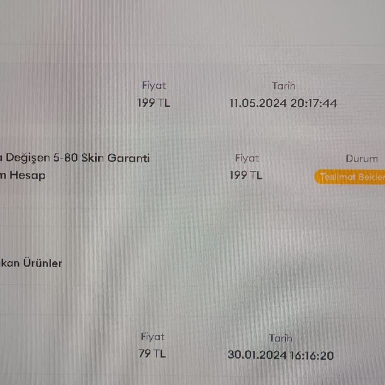 Aldığım Valorant Random Hesap 1 Gündür Gelmedi