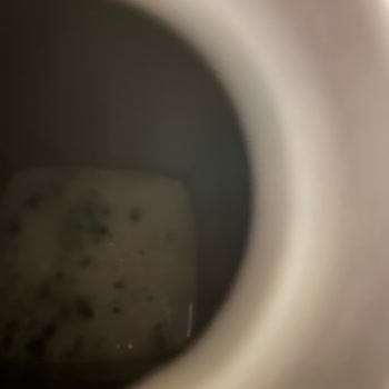 Alpro Süt Alpro Hindistan Cevizi Sütü Ve Yulaf Sütü Şikayet