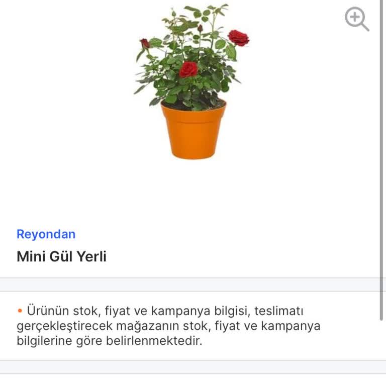 Migros Ürün Tedarik Edilmesindeki Hususi Tarzı Çok Nahoş