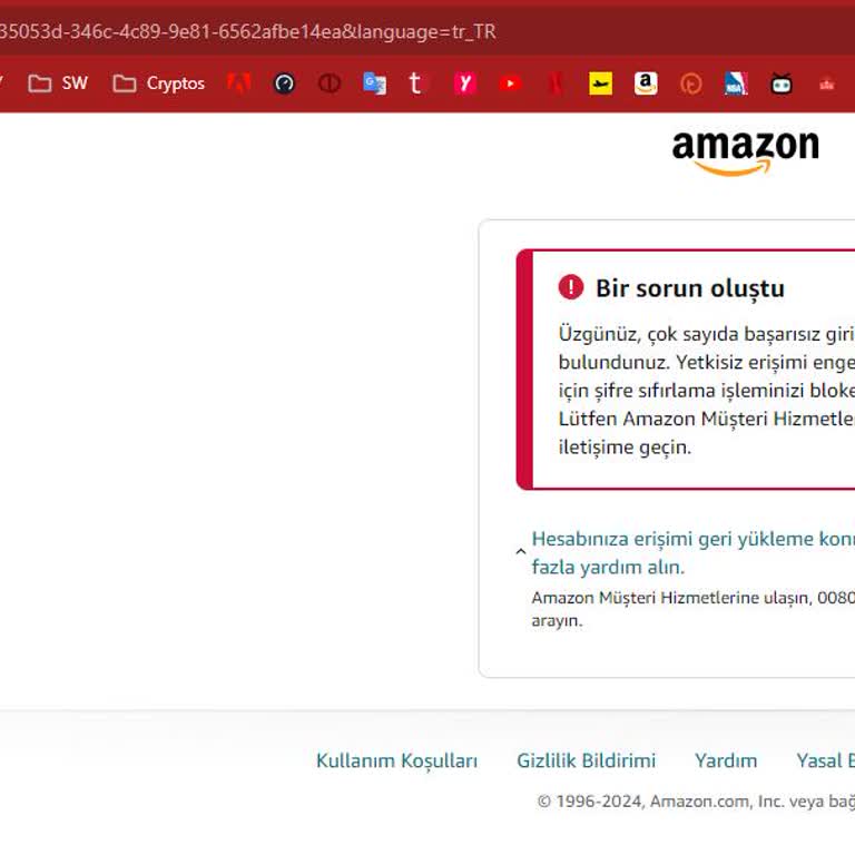 Amazon Gibi Güya Büyük (! ) E-ticaret Platformunun İşgüzarlığı