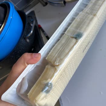 Gündoğdu Gıda Birkaç Günde Küf İçerisinde Kalan Kaşar