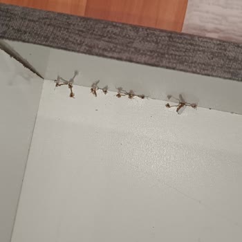 İder Mobilya Ürünün Arkasında Durmuyor. Satarken Böyle Değiller.