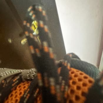 Merrell Footwear Kalitesiz Ayakkabı Ve Mağduriyetim