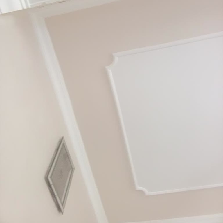 Tecno Mobile Tecno Pova Neo 2 Arka Kamera Hatası+fener Sorunu.