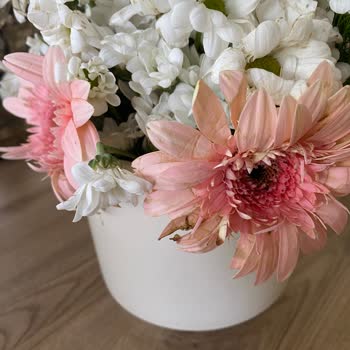 Kırık Vazoda Çöpten Alınmış Çiçek, Çiçek Sepeti Utan