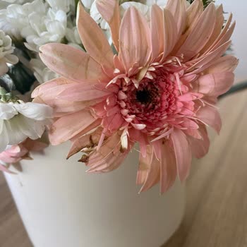 Kırık Vazoda Çöpten Alınmış Çiçek, Çiçek Sepeti Utan