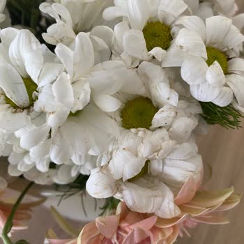 Kırık Vazoda Çöpten Alınmış Çiçek, Çiçek Sepeti Utan