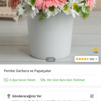 Kırık Vazoda Çöpten Alınmış Çiçek, Çiçek Sepeti Utan