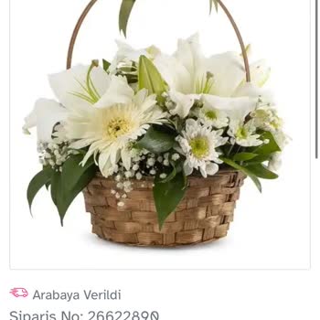 Osevio.com Satın Aldığım Sipariş Yerine Kafasına Göre Çiçek Yollamışlar.