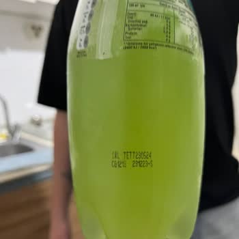 Schweppes Misket Limonu Yüzen Şeyler