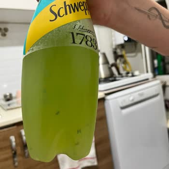 Schweppes Misket Limonu Yüzen Şeyler