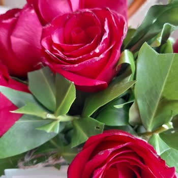 ÇiçekSepeti Çürük Özensiz Ve Yanlış Çiçek Gönderdiler