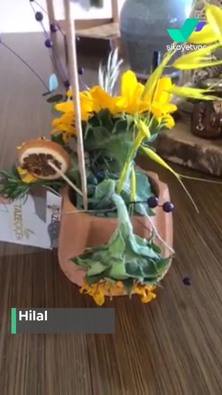 Taze Çiçek (tazecicek.com) Anneler Günü Çiçeği Ne Kadar Kötü Olabilirse O Kadar Kötü! videonun kapak resmi