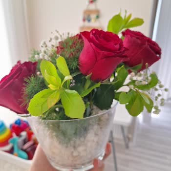 Çiçek Sepeti Pişmanlıktır Pişmanlıktır?