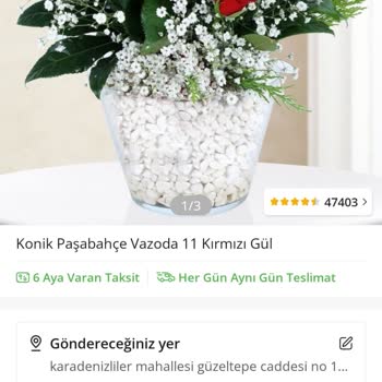 Çiçek Sepeti Pişmanlıktır Pişmanlıktır?