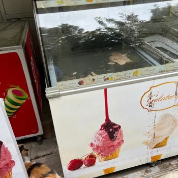 La Gelateria Denizli Adalet Parkı'ndaki Dondurma Büfesi Hayal Kırıklığı