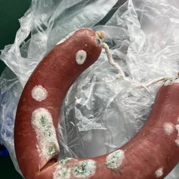 A101 Baştacı Sucuk Küflenmiş Ve Rafta