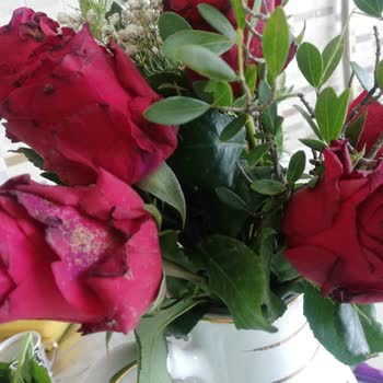 Çiçek Sepeti Mağduriyeti