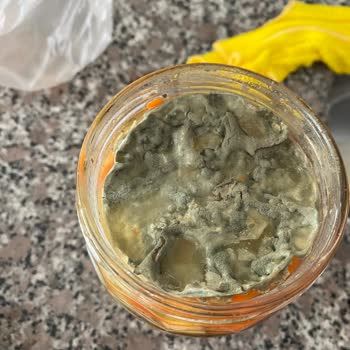 Tukaş Garnitürlü Küflü Çıktı