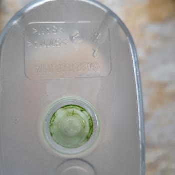 Brita Filtre Sürahi Yosun Tuttu