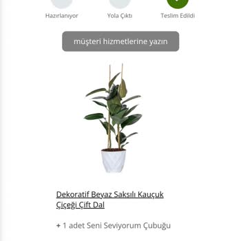 Salonbitkileri.com Aldatıcı Ürün Tanıtımı Ve İletişimsizlik Sorunu