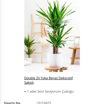 Salonbitkileri.com Aldatıcı Ürün Tanıtımı Ve İletişimsizlik Sorunu