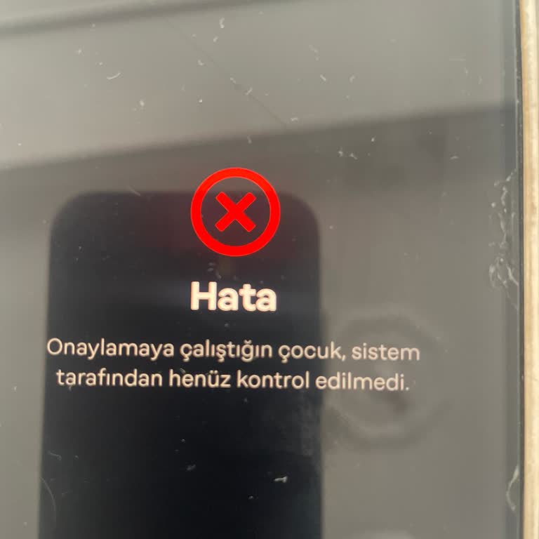 Papara Onaylamaya Çalıştığın Çocuk, Sistem Tarafından Henüz Kontrol Edilmedi!