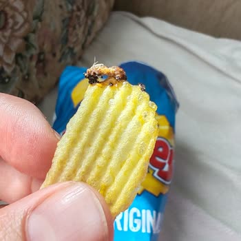 Ruffles De Böcek Çıktı