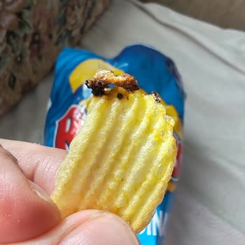 Ruffles De Böcek Çıktı