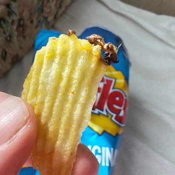 Ruffles De Böcek Çıktı