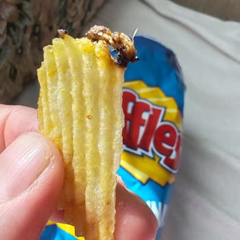 Ruffles De Böcek Çıktı