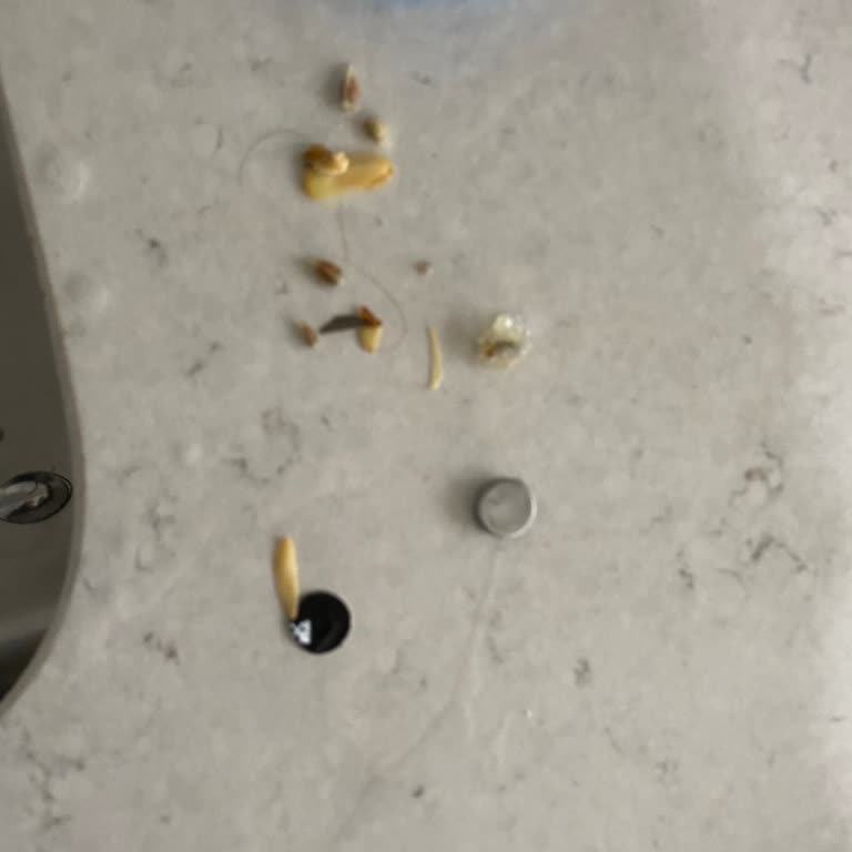 Profilo Servis Elemanı Mağduriyeti