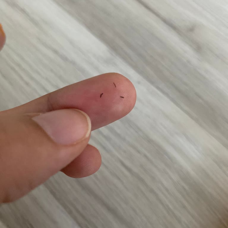 Aşçı Anne Yulaf Unu İçinden Çıkanlar