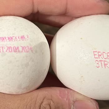 A101 - Gıda Zehirlenmesi Hk.